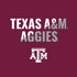 Texas A&M University Aggies Moto E5 Play Skin